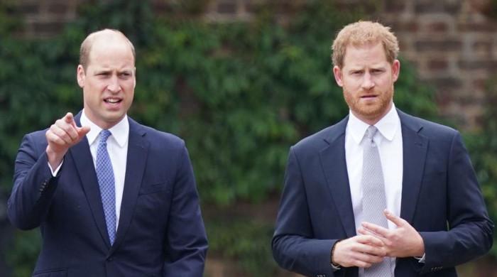 Prince Harry 'Spare' claims reappear after William dubbed 'demanding' 