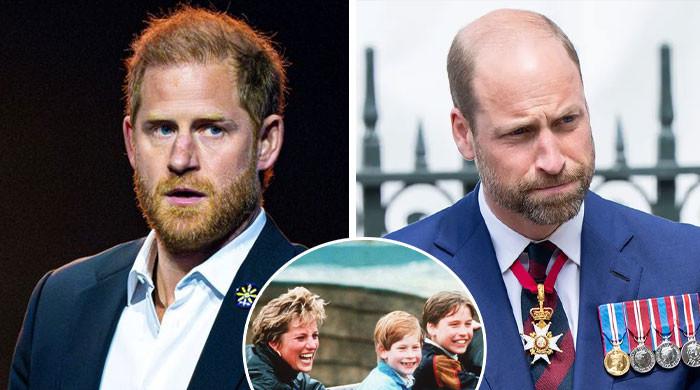 Prince Harry regrets joint decision with Prince William about mum Diana Prince Harry regrets joint decision with Prince William about mum Diana
