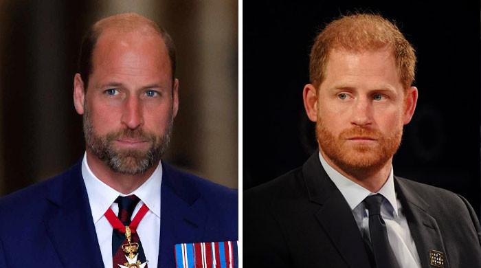 Prince William gives unexpected reply to Prince Harry reconciliation plea