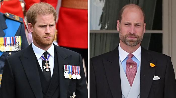 Prince William, Harry set to take on emotional mission in honour of Diana