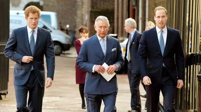 King Charles hints at future in William’s shadow to Prince Harry King Charles hints at future in William’s shadow to Prince Harry