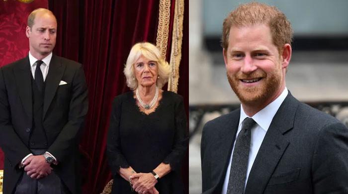 Prince Harry breaks silence on duty after William's emotional message
