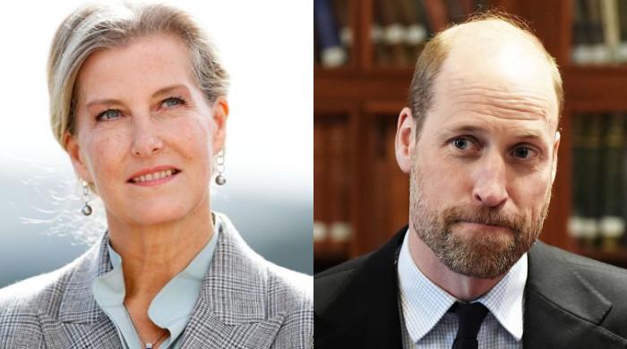 Royal family issues update on Duchess Sophie key task amid William's big plans