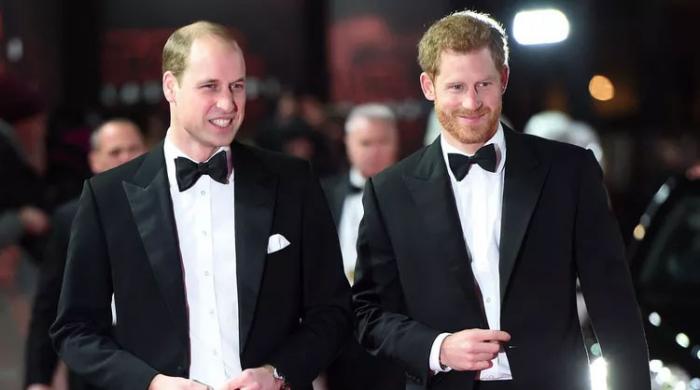 Prince Harry left Prince William grieving: 'completely broken'