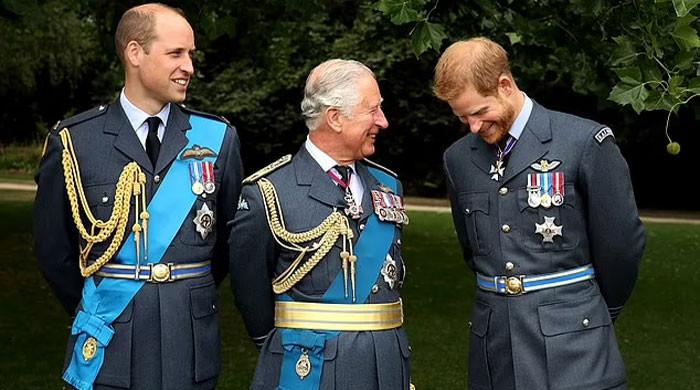 Prince Harry gets 'ideal chance' to reunite with King Charles after major announcement