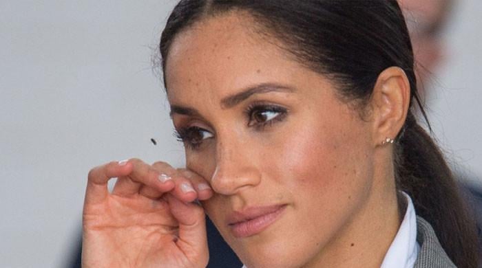 Meghan Markle social media presence branded ‘inappropriate'