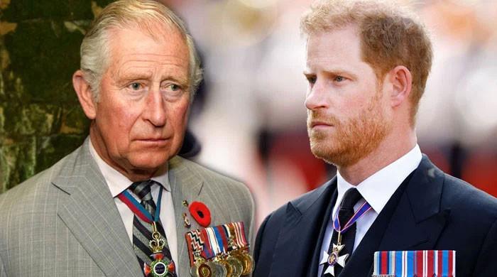 Buckingham Palace planning Prince Harry, King Charles reunion?