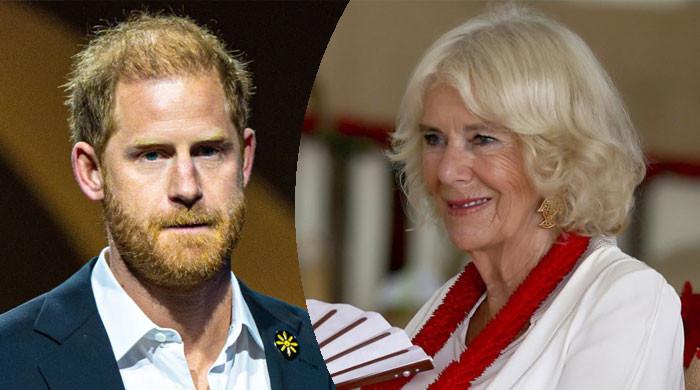 Queen Camilla lays down her decision for Prince Harry's future