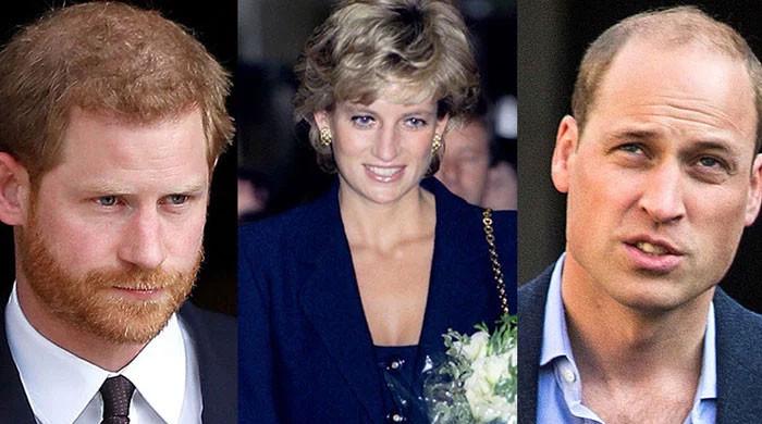 Princess Diana’s trainer speaks out on Prince William, Harry Royal rift Princess Diana's trainer speaks out on Prince William, Harry Royal rift