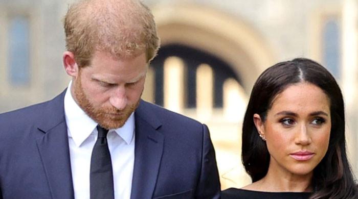 Former Sussex MP steps forward against Prince Harry and Meghan Markle