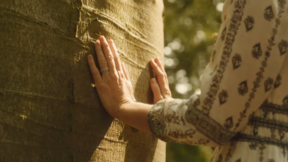 Woman's hands touching a tree trunk.