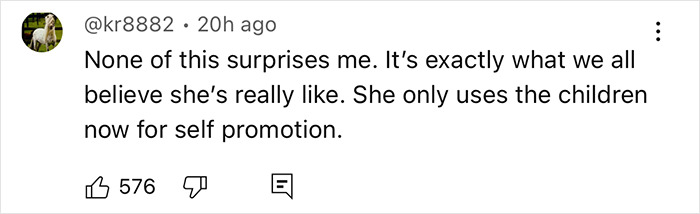 User comment criticizing Meghan Markle, suggesting she treats her kids like accessories for self-promotion, amid flight attendant claims. User comment criticizing Meghan Markle, suggesting she treats her kids like accessories for self-promotion, amid flight attendant claims.