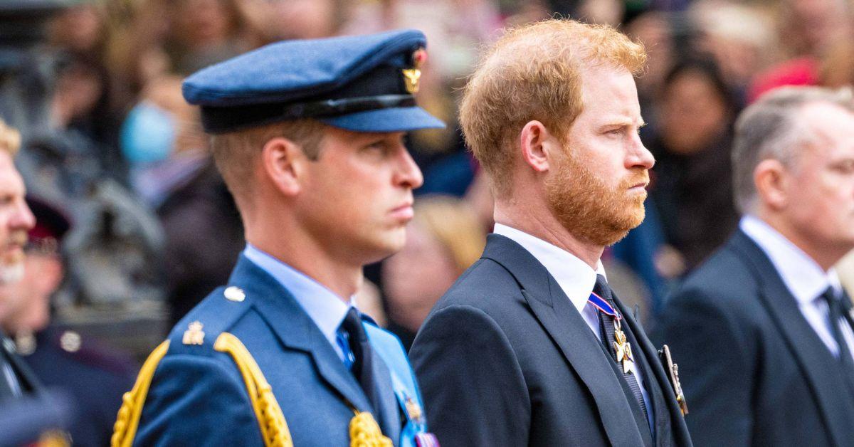 Photo of Prince William and Prince Harry