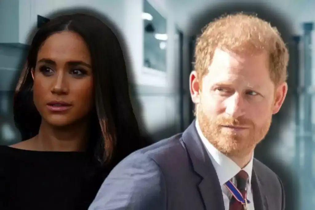Meghan Markle finally reveals what happened with Prince Harry inside the hospital Logo Catalunya Diari EN