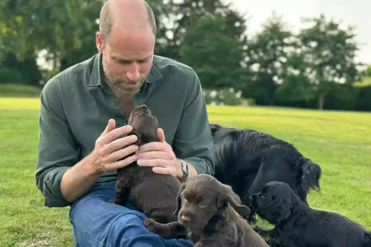 Prince William sitting on the grass petting a brown puppy while other dogs play around him in a park.