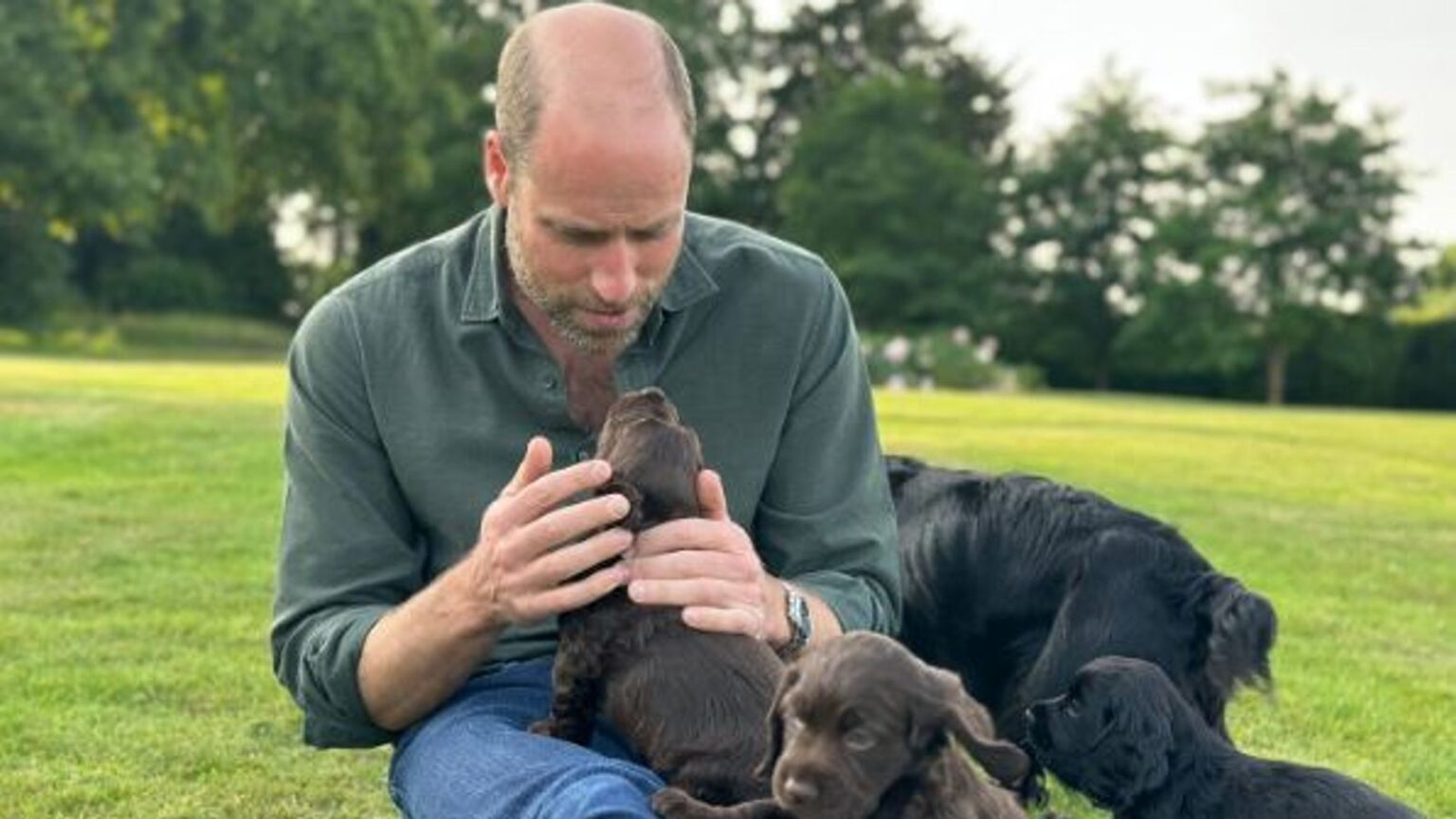 Prince of Wales plays with family dog and her new puppies in picture marking 43rd birthday | UK News Prince William with the puppies. Pic: Prince and Princess of Wales