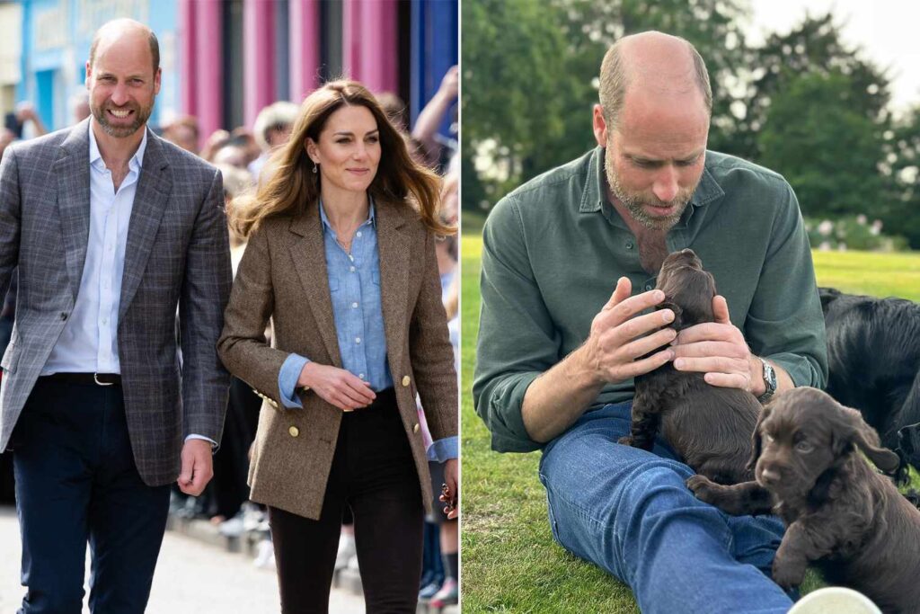 Kate Middleton and Prince William’s Plans for Puppies Revealed Kate Middleton and Prince William's Plans for Puppies Revealed