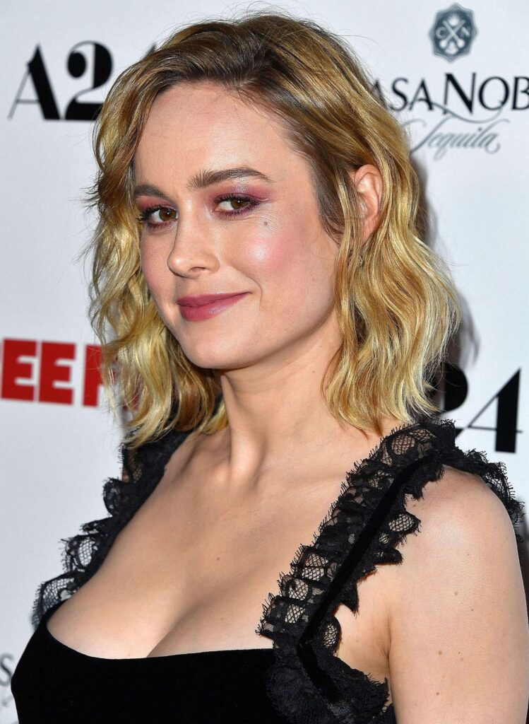 Brie Larson ‘Free Fire Premiere in Los Angeles’ 2017