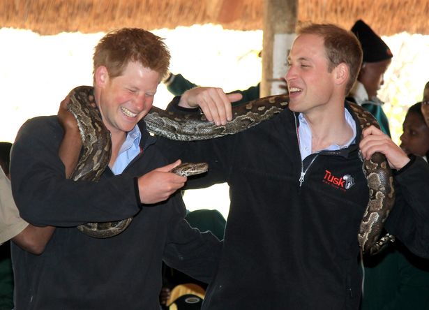 Pictured in 2010 in Gaborone, Botswana, Princes Harry and William had a strong bond