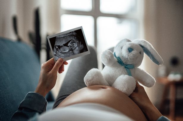 Personal perspective of pregnant woman holding a fetal ultrasound image and putting a rabbit soft toy on her bump while lying on sofa. Expecting new baby concept.