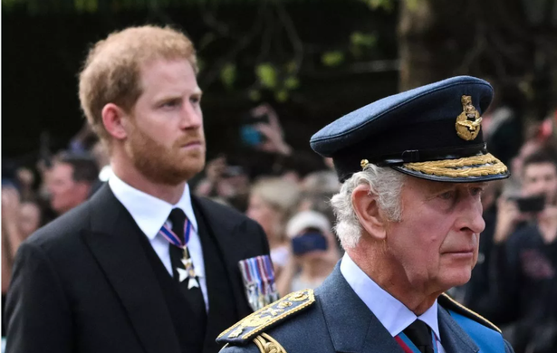 Prince Harry with King Charles