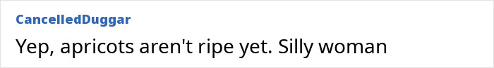 Comment text on a white background reading Yep, apricots aren't ripe yet Silly woman referencing Meghan Markle fruit-picking photo accusations Comment text on a white background reading Yep, apricots aren't ripe yet Silly woman referencing Meghan Markle fruit-picking photo accusations