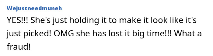 Screenshot of a comment accusing Meghan Markle's fruit-picking photo of being embarrassing and calling it a fraud. Screenshot of a comment accusing Meghan Markle's fruit-picking photo of being embarrassing and calling it a fraud.