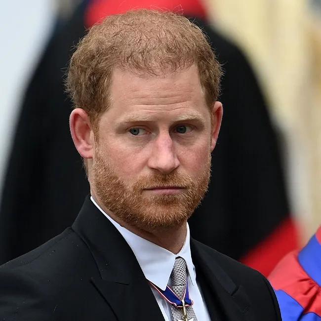 Princess Delphine Of Belgium Thinks Prince Harry Is 'Traumatized' After Being 'Bullied' By The Public: 'Harry Has Suffered So Much'