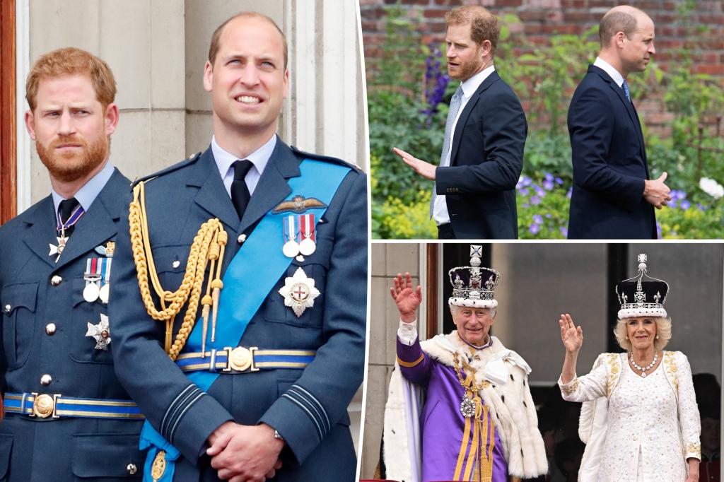 Prince Harry 'worried' about possible exile when Prince William becomes king: biographer