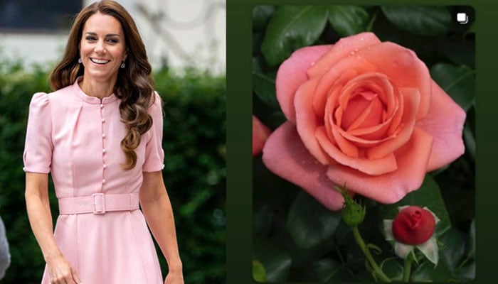 Kensington Palace makes delightful announcement about Kate Middleton