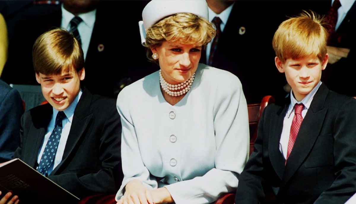 Princess Diana heartbreaking prediction about William, Harry comes true