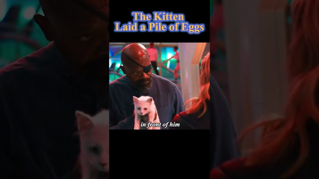 The Kitten Swallowed Everyone#shorts The Kitten Swallowed Everyone#shorts