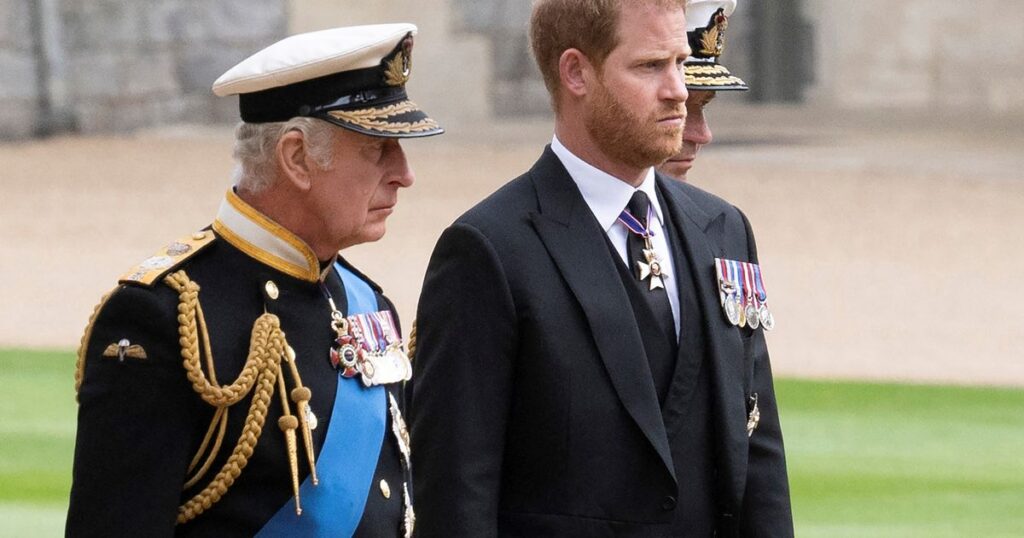 Princess Anne’s ‘protective’ signal to King Charles amid Prince Harry fallout trust project logo