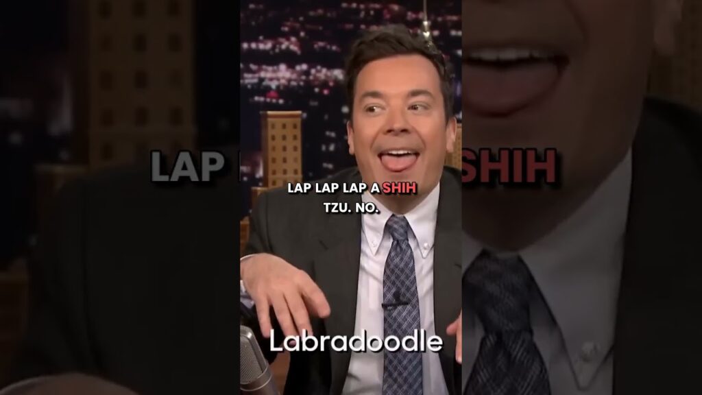 Margot Robbie Hilariously Struggles with the Whisper Challenge | Can She Guess Labradoodle? Margot Robbie Hilariously Struggles with the Whisper Challenge | Can She Guess Labradoodle?