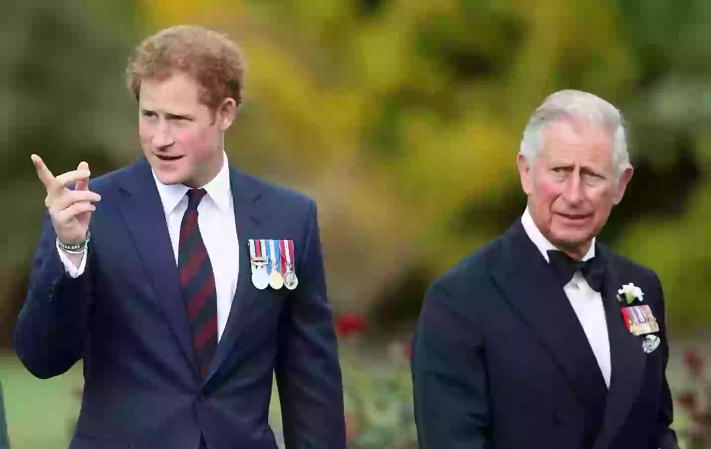 The state of Prince Harry and King Charle's relationship has been well publicised (Max Mumby/Indigo/Getty Images)