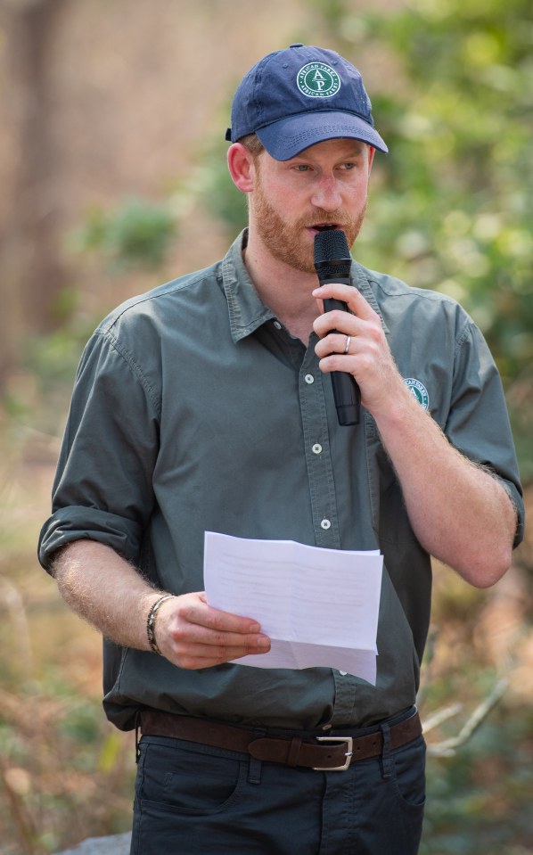 Prince Harry giving a speech at Liwonde National Park.
