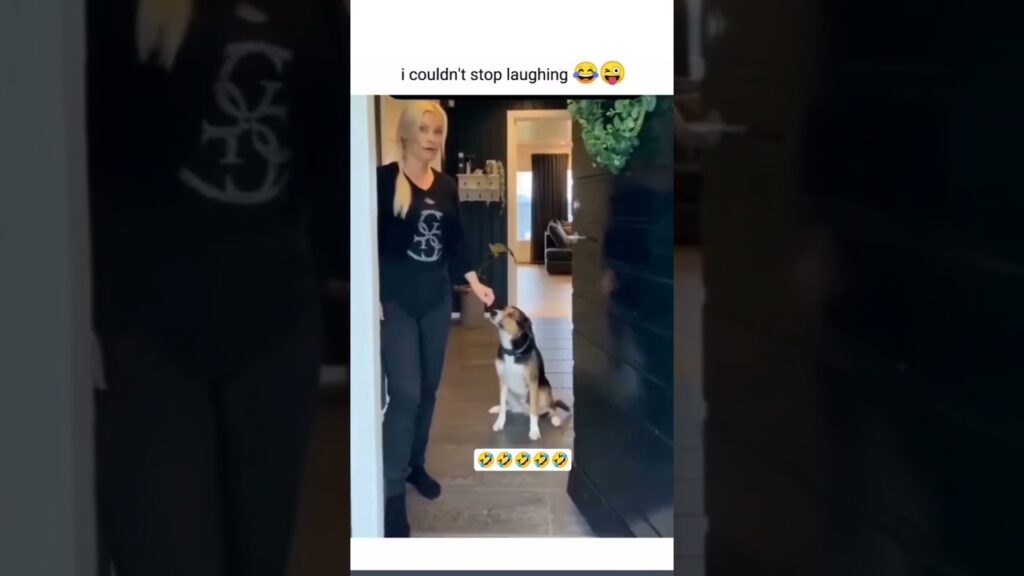 i couldn't stop laughing 😭🤣 #funnyvideo #funny #familyhumor #cat #love #dog #family