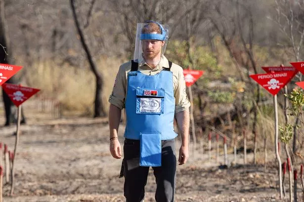 DIRICO, ANGOLA - SEPTEMBER 27: Prince Harry, Duke of Sussex walks through a minefield during a visit to see the work of landmine clearance charity the Halo Trust, on day five of the royal tour of Africa on September 27, 2019 in Dirico, Angola. This is part of the Duke and Duchess of Sussex's royal tour to South Africa. (Photo by Pool/Samir Hussein/WireImage)