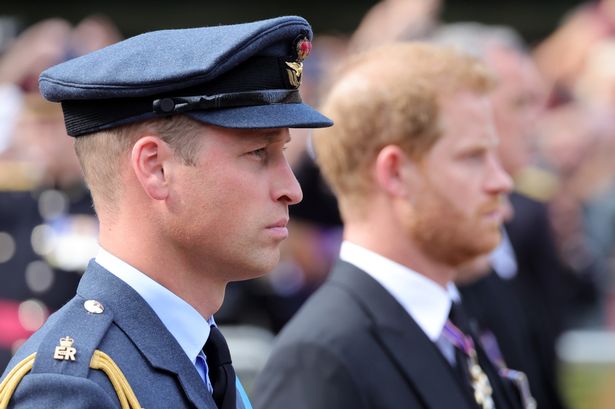 Prince William and Prince Harry