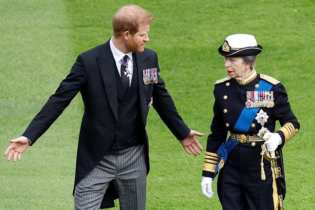 Prince Harry, Princess Anne