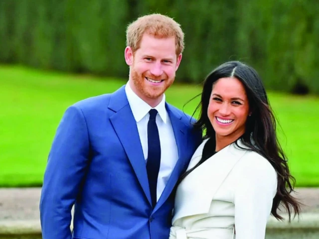 Did Family Guy just compare Harry and Meghan to Hitler and the Crusades? couple set up the charity in 2020 photo file