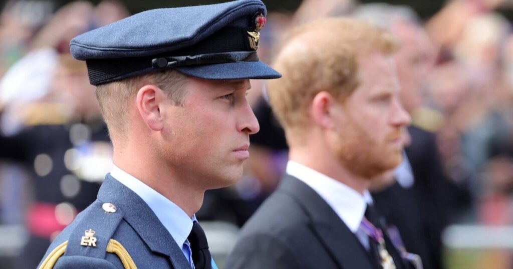 William and Harry told to end feud now or face 'incalculable damage' - Celebrity News - Entertainment