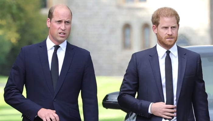 Prince William, Prince Harry's rift becomes biggest hurdle to family reunion