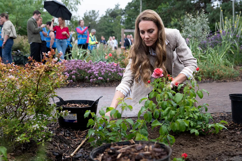 Britain's Catherine, Princess of Wales plants a rose in RHS Wellbeing Garden at Colchester Hospital in Essex, southeast England on July 2, 2025. (Photo by STEFAN ROUSSEAU/POOL/AFP via Getty Images)