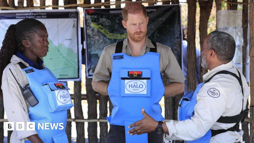 Prince Harry in Diana’s footsteps with landmine walk in Angola Prince Harry in Angola wearing body armour to clear a minefield