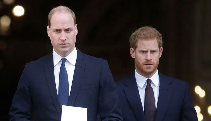 Prince Harry’s expressions show his honesty unlike Prince William