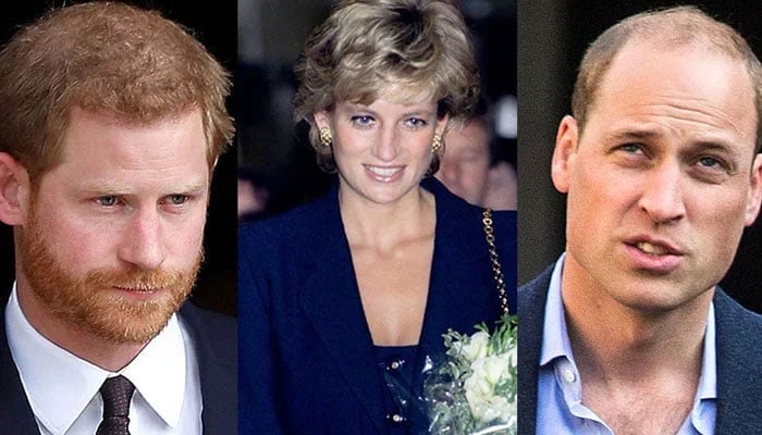 William, Harry share how they remember Princess Diana with their kids