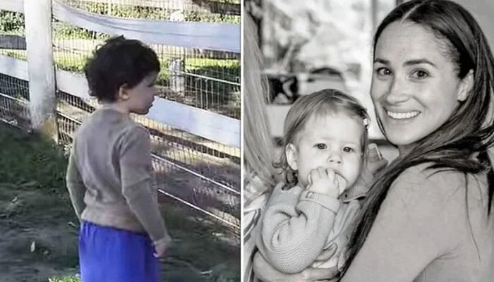 Meghan Markle worried over Archies fascination with King Charles