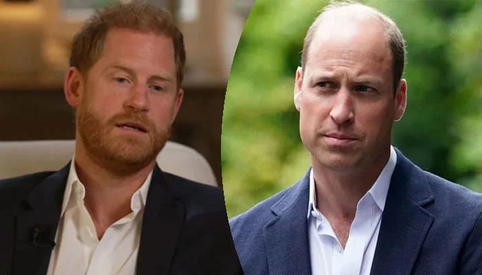 Prince William warned of ‘damage if Harry stays enemy