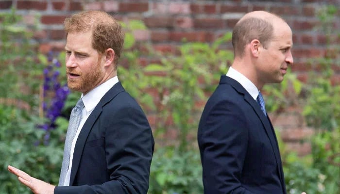 Prince William, Prince Harry rift has gone ‘beyond repair, says insider
